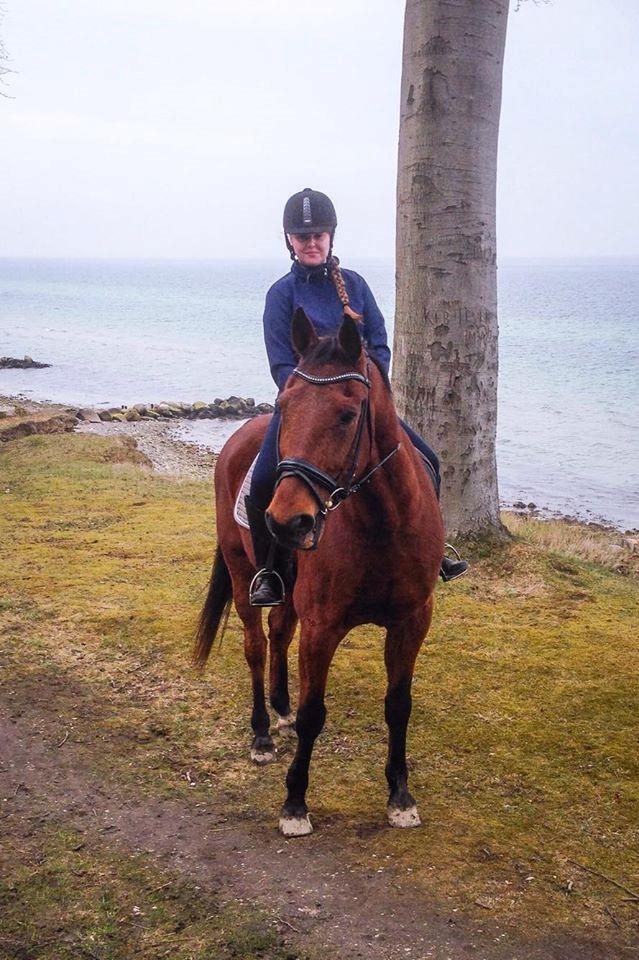 Traver Cæcar billede 2