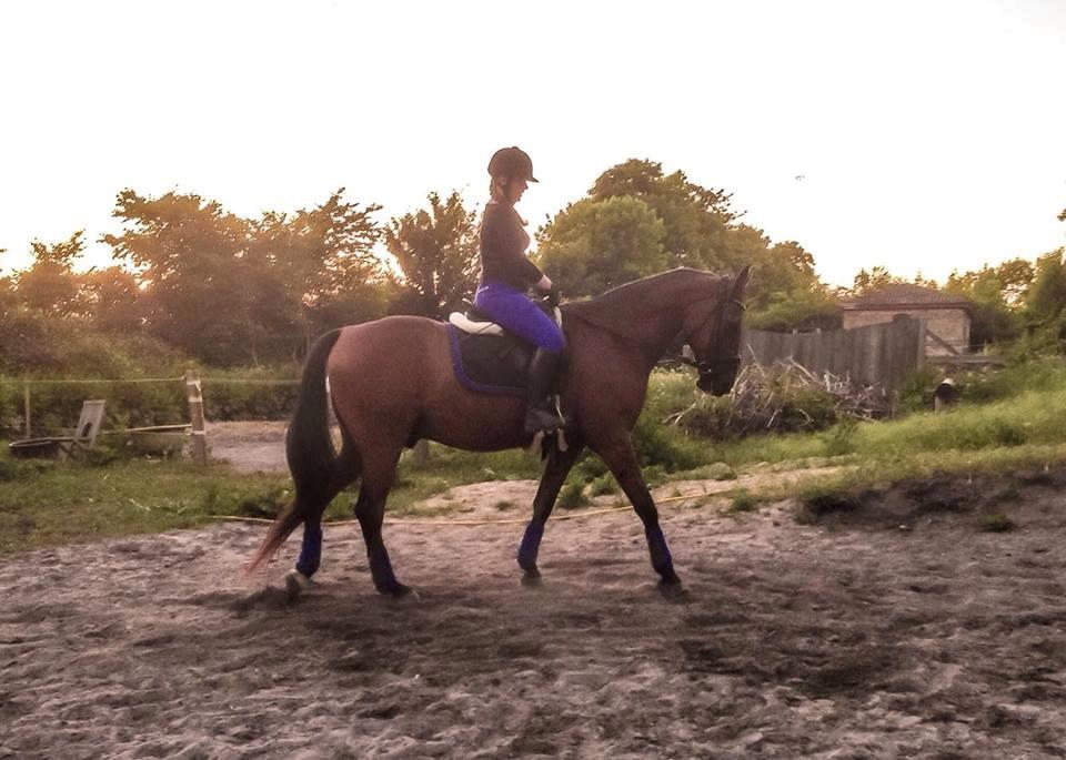 Traver Cæcar billede 6