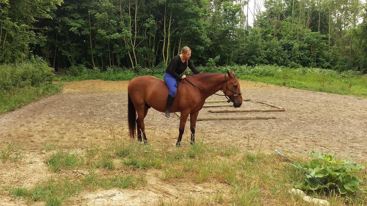 Traver Cæcar billede 7