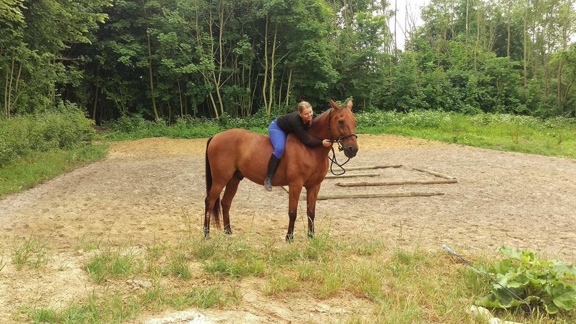 Traver Cæcar billede 8