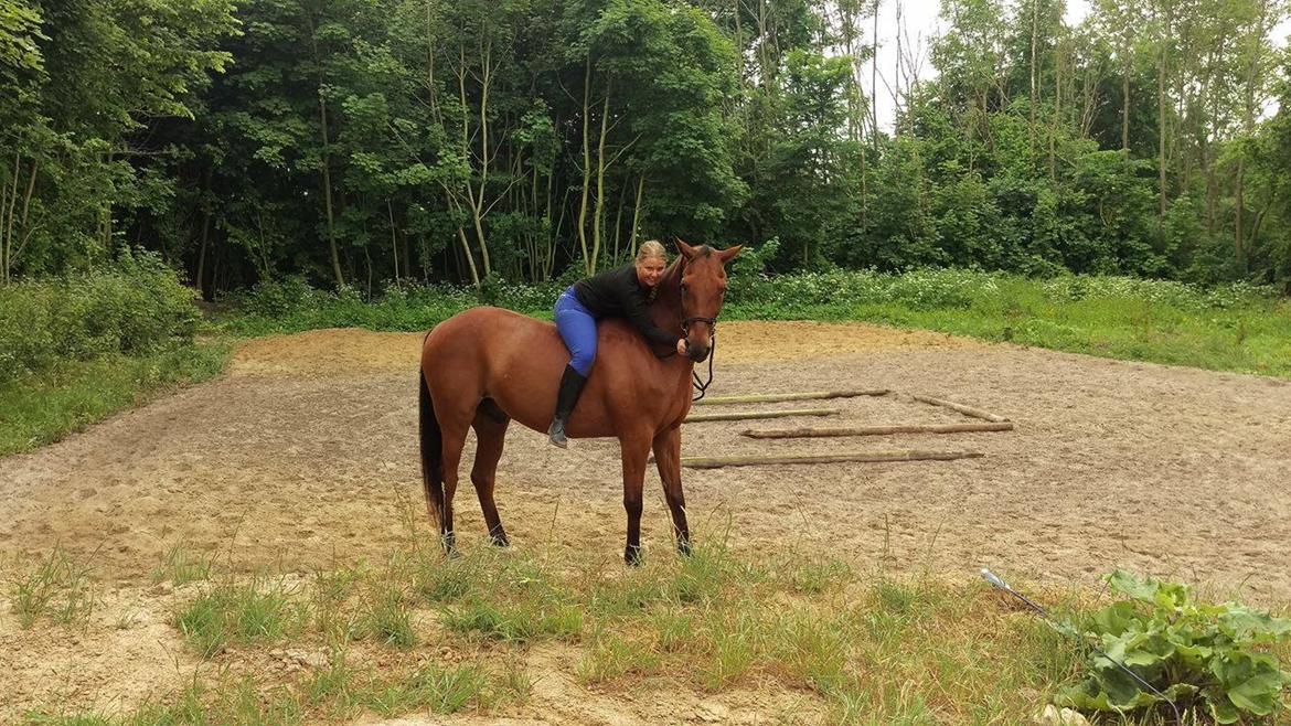 Traver Cæcar billede 9