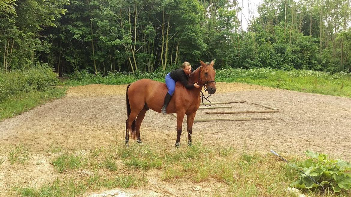 Traver Cæcar billede 10