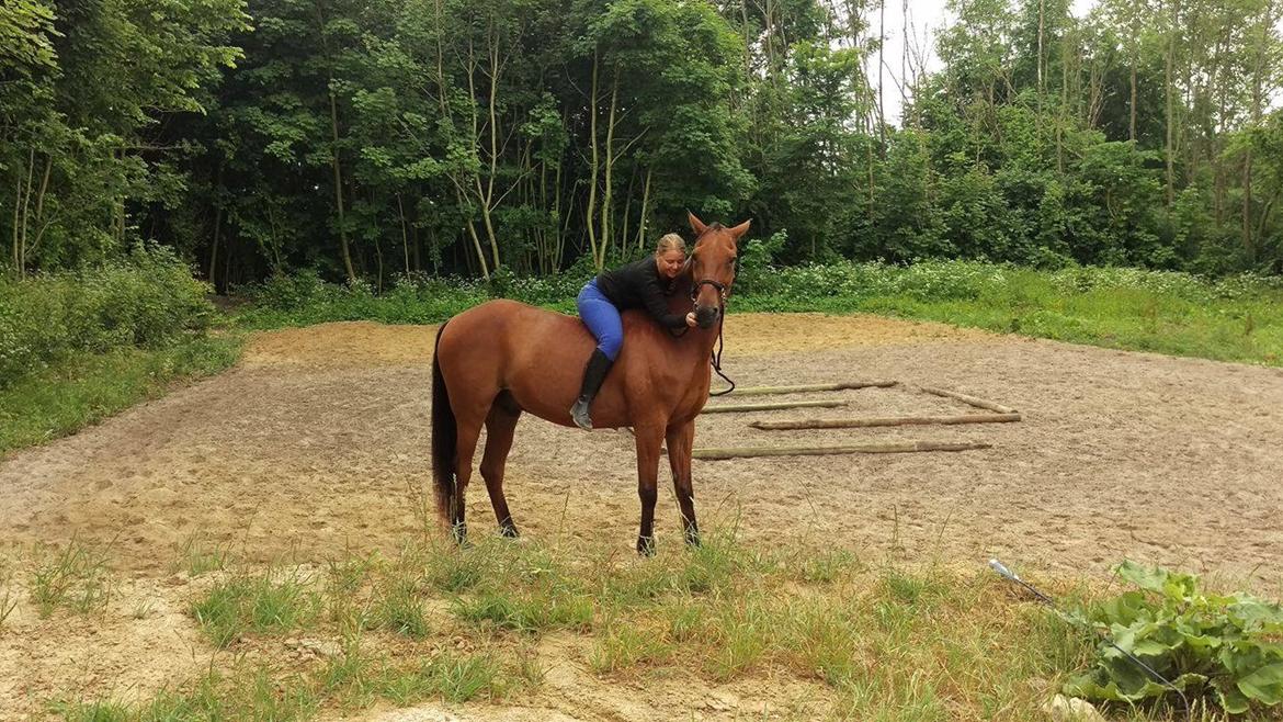 Traver Cæcar billede 11