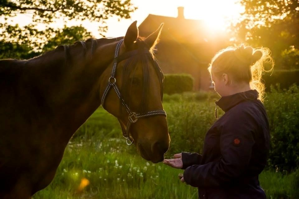 Traver Cæcar billede 1