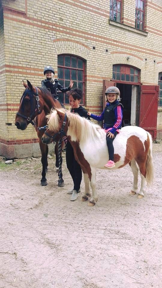 Traver Cæcar billede 15