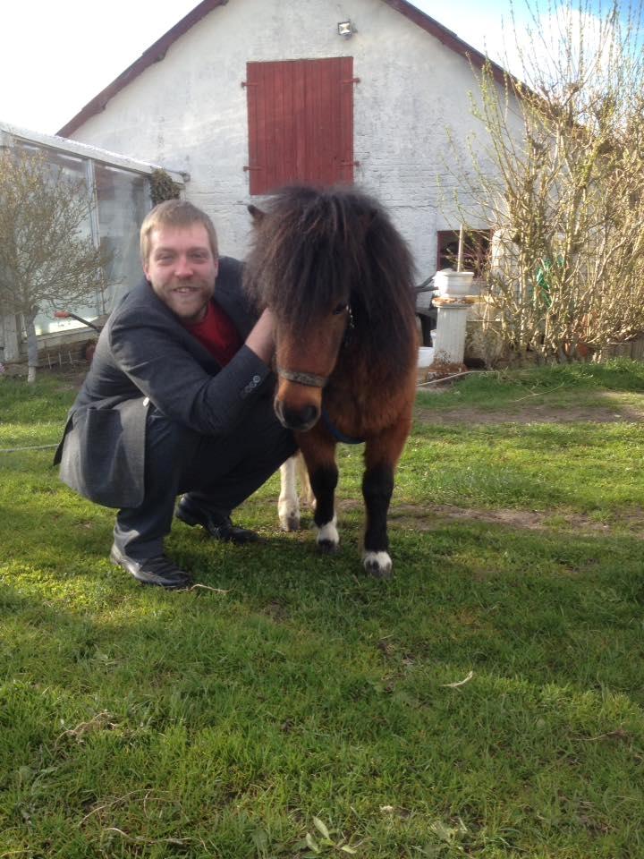 Shetlænder Alma billede 1