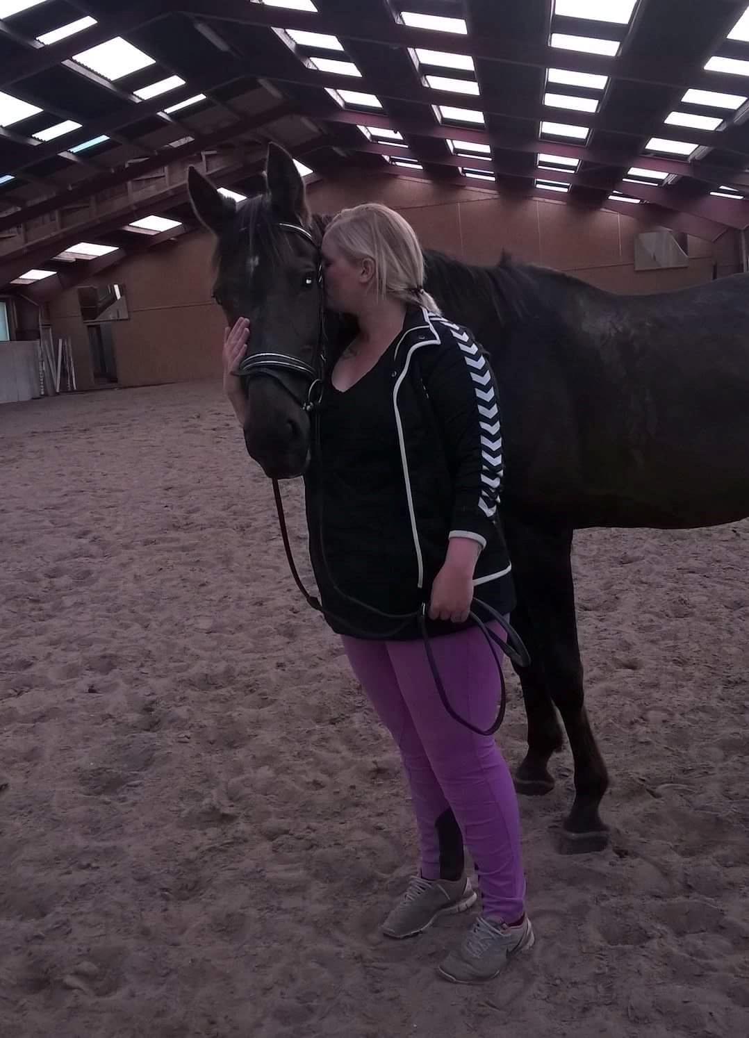 Traver Lady's Chill billede 15