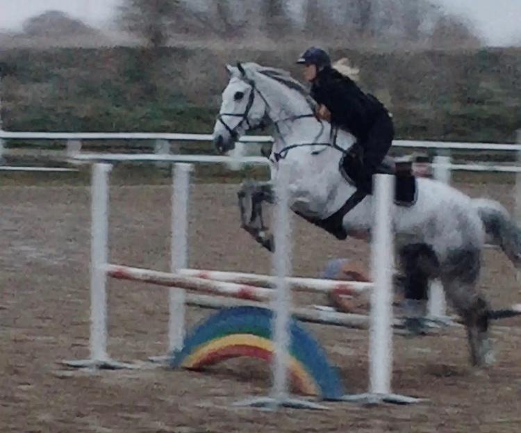 Anden særlig race Cæzar billede 5