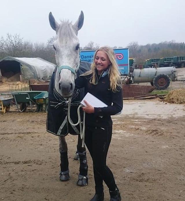 Anden særlig race Cæzar billede 2