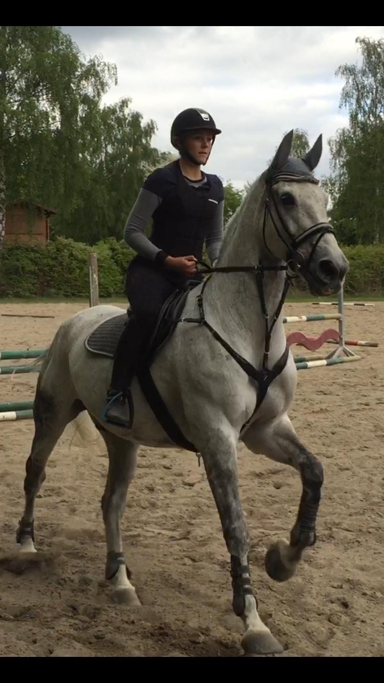 Anden særlig race Cæzar billede 12