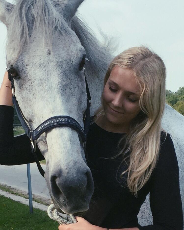 Anden særlig race Cæzar billede 7