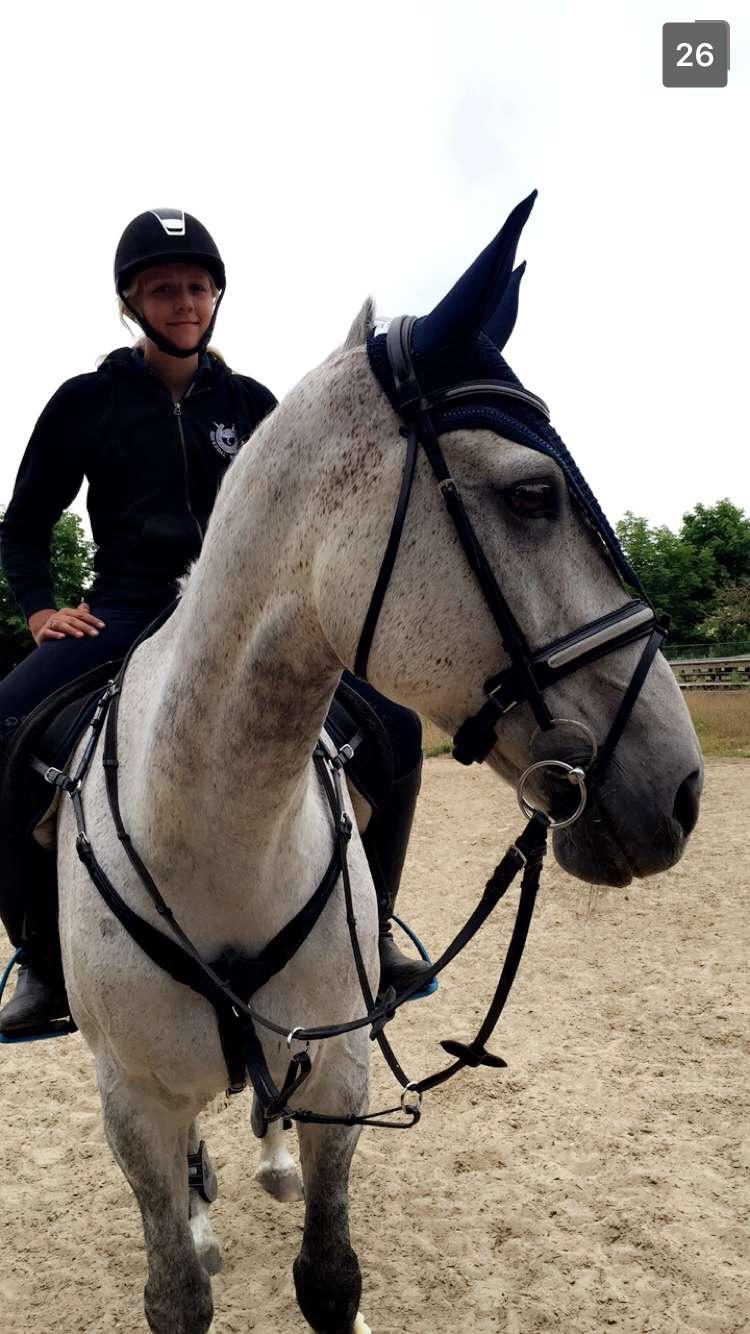 Anden særlig race Cæzar billede 3