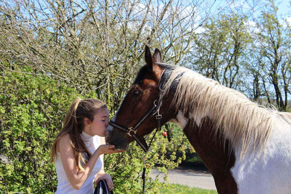 Anden særlig race Bugatti billede 17
