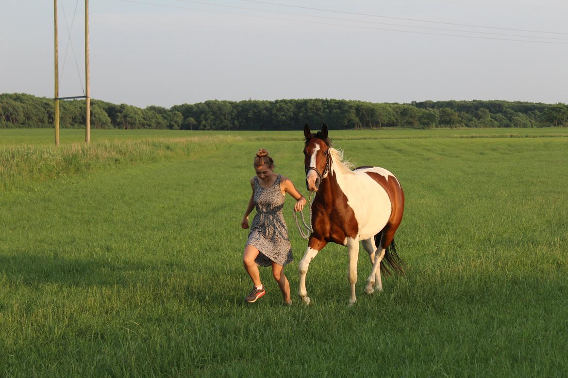 Anden særlig race Bugatti - 05. 06. 16 billede 19