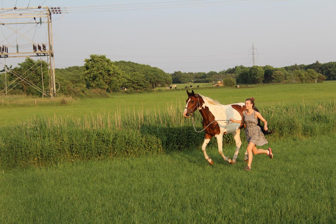 Anden særlig race Bugatti - 05. 06. 16 billede 20
