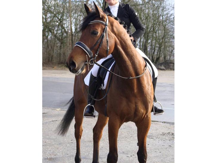 {{currentPhoto.altText}} billede {{currentPhoto.number}}