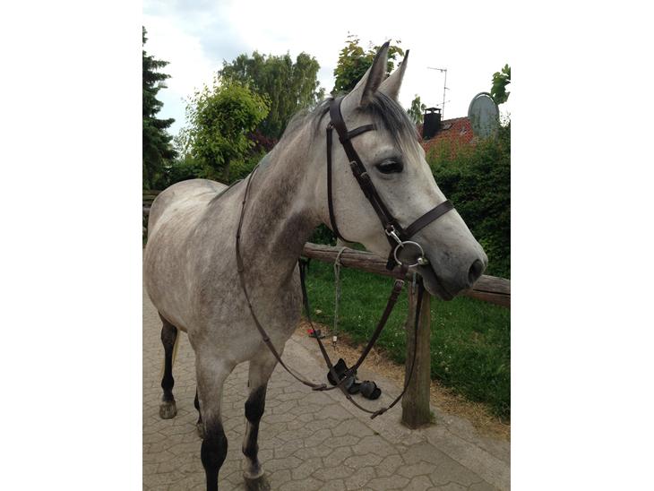 {{currentPhoto.altText}} billede {{currentPhoto.number}}