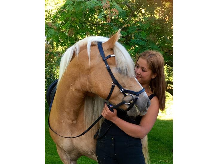 {{currentPhoto.altText}} billede {{currentPhoto.number}}