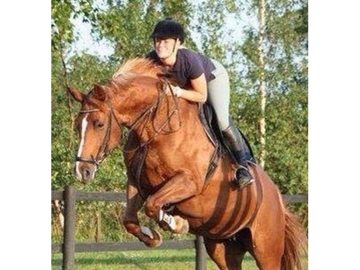 {{currentPhoto.altText}} billede {{currentPhoto.number}}