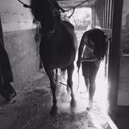 Traver Traver Queen For Charity 