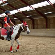 Pinto Karea Nyberg (Min engel <3)