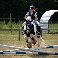 Tinker Sir Archibald af Østerbygaard