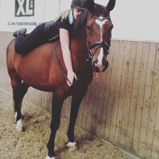 Anden særlig race Nico