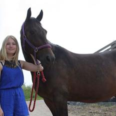 Traver Ideal Ørbæk