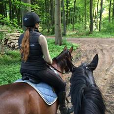 Anden særlig race Tasja