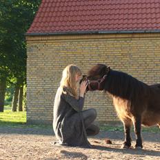 Anden særlig race Tulle (Trold)