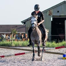 Anden særlig race Stald Arabians Jemeela [Tidl. lånehest]