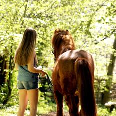 Islænder Kiljan fra Vindbyholt