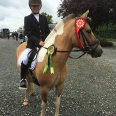 Anden særlig race Kronborggårdens Condolezza<3