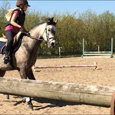 Anden særlig race Smartie<3