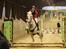 Anden særlig race Starhorse Ibn-Tai