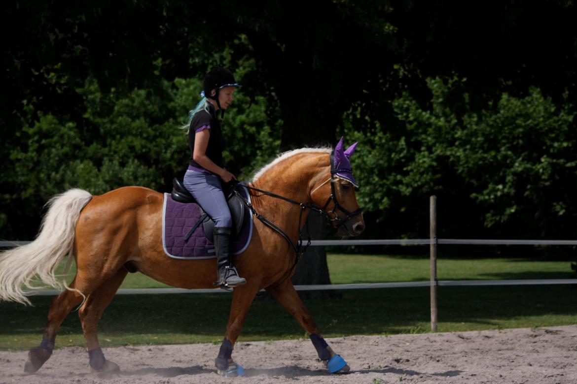 Anden særlig race I Turbo billede 18