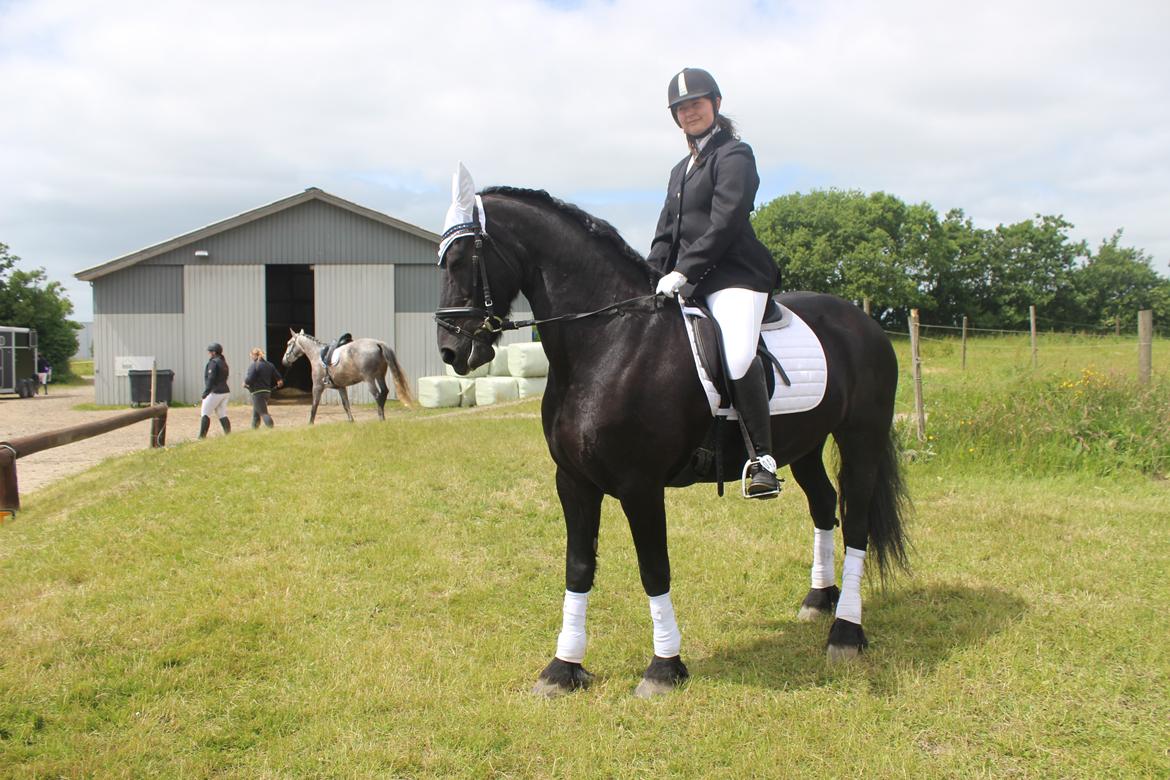 Frieser Marijke G R.I.P - Sidste stævne d. 18-19 juni 2016. billede 12