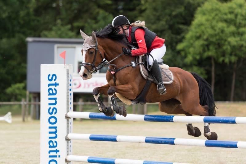 Dansk Varmblod Cornelia højbo *Himmel hest* - Her i vores første LA - 115 cm  billede 18