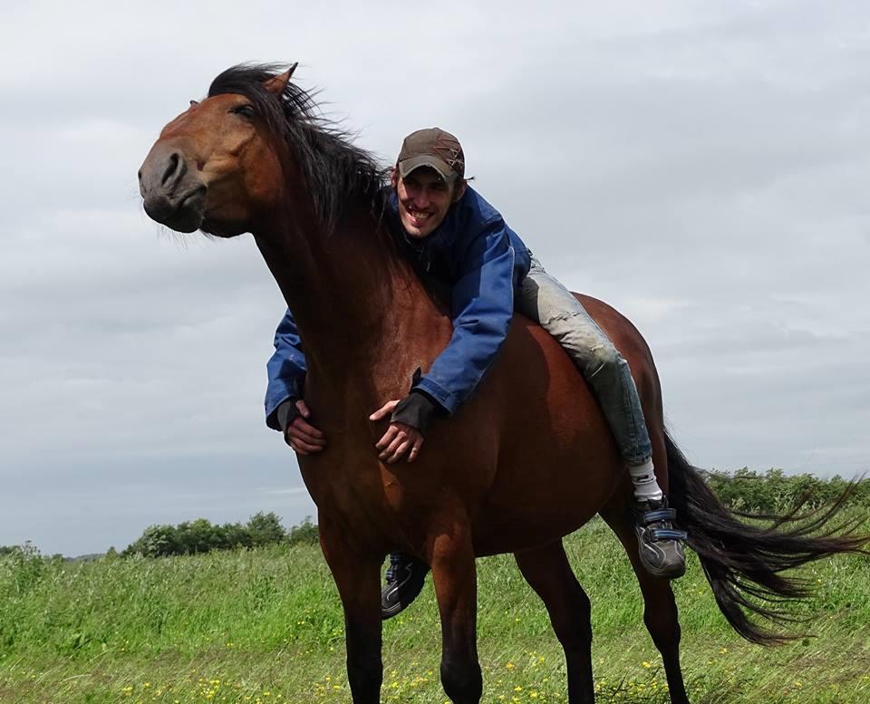 Anden særlig race Højersmindes Ofelia - 19 juni 2016 billede 15
