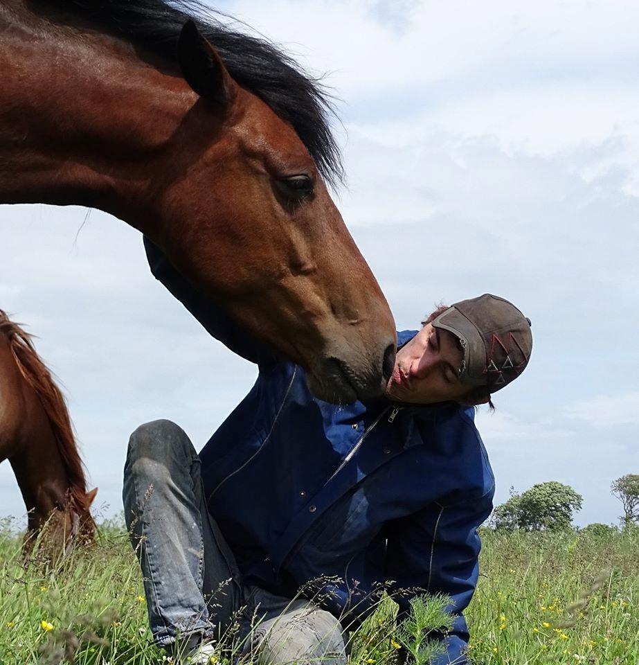 Anden særlig race Højersmindes Ofelia - 19 juni 2016 billede 16