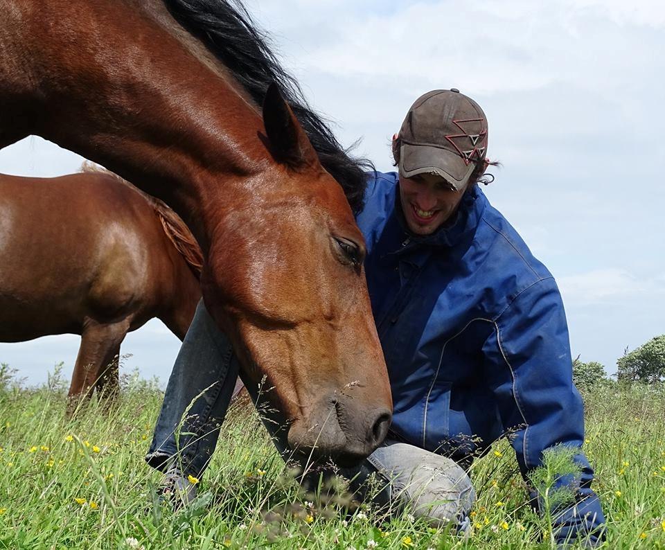 Anden særlig race Højersmindes Ofelia - 19 juni 2016 billede 17