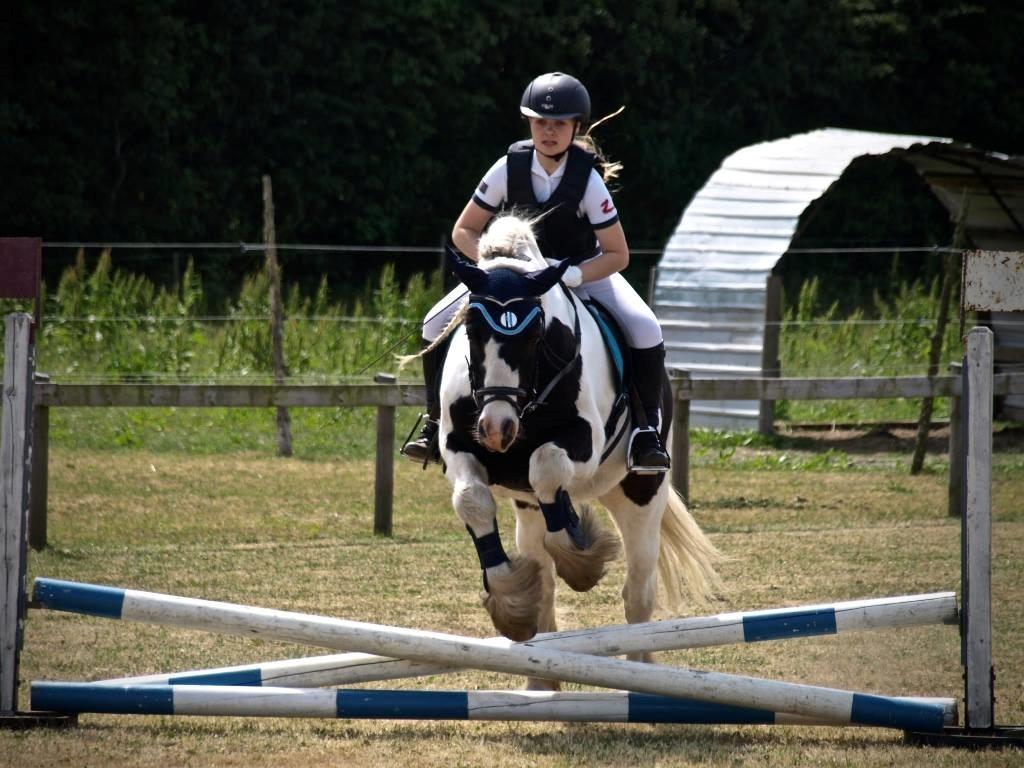 Tinker Sir Archibald af Østerbygaard - Vores allerførste springstævne sammen. En metode B0 40 cm, på 1.37 og 4 fejl :D billede 3