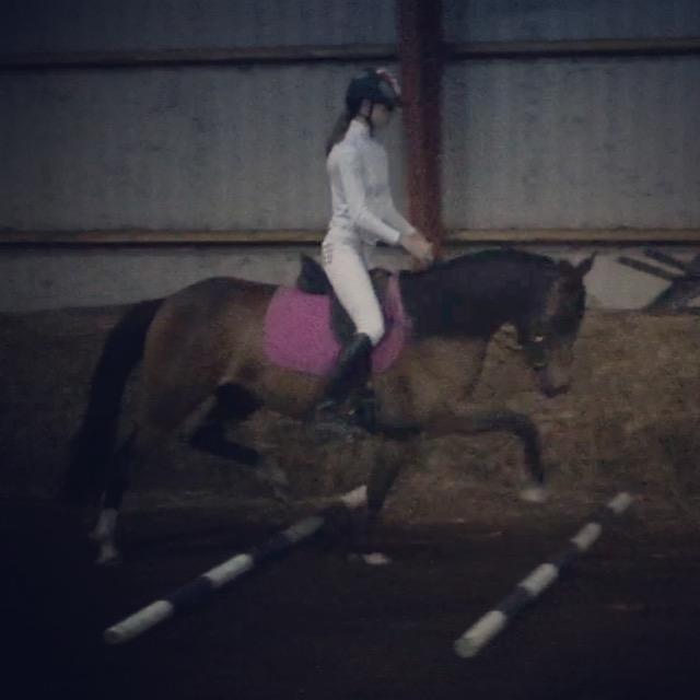 DSP Starhorse Fadooma billede 2