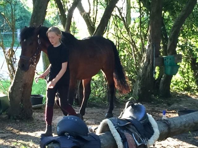 New Forest Minelli billede 12