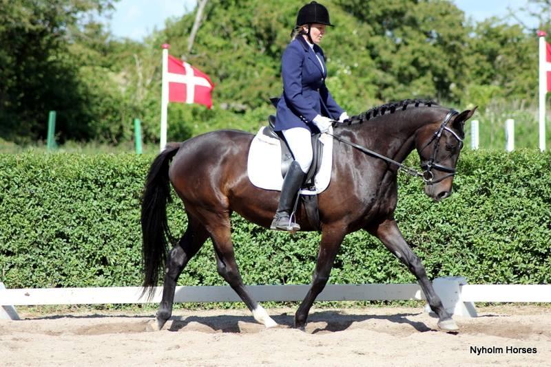 Oldenborg Medina af legaardslund billede 2