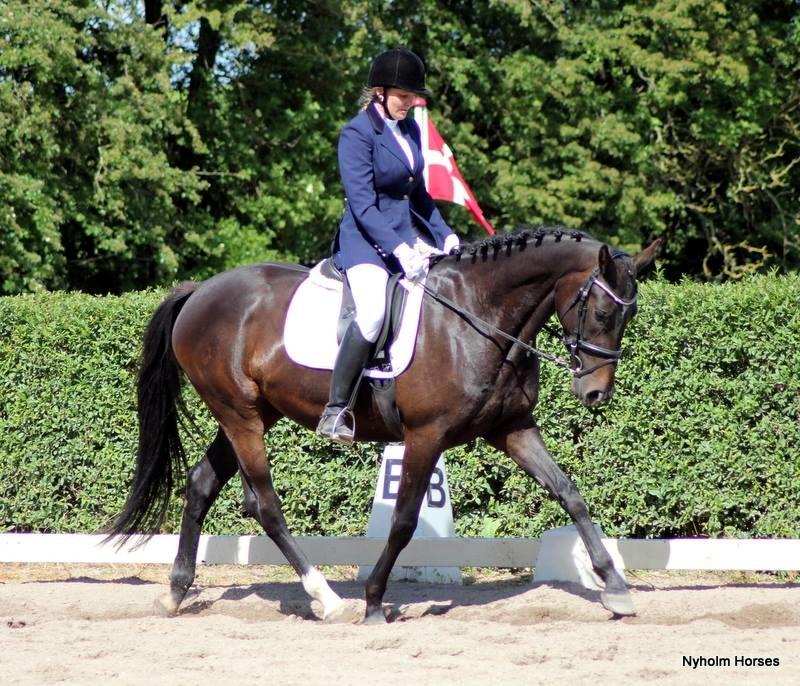 Oldenborg Medina af legaardslund billede 4