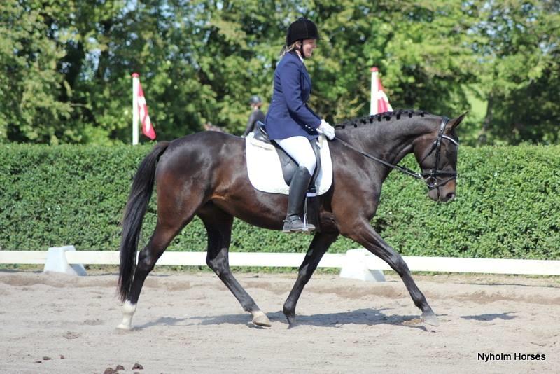 Oldenborg Medina af legaardslund billede 7