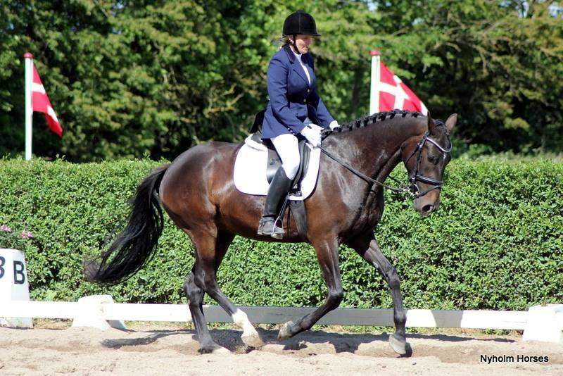 Oldenborg Medina af legaardslund billede 5