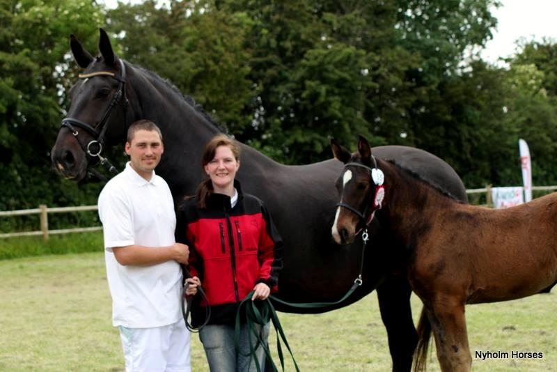 Oldenborg Savana Tisted billede 12