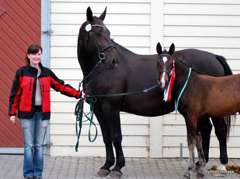 Oldenborg Savana Tisted billede 11